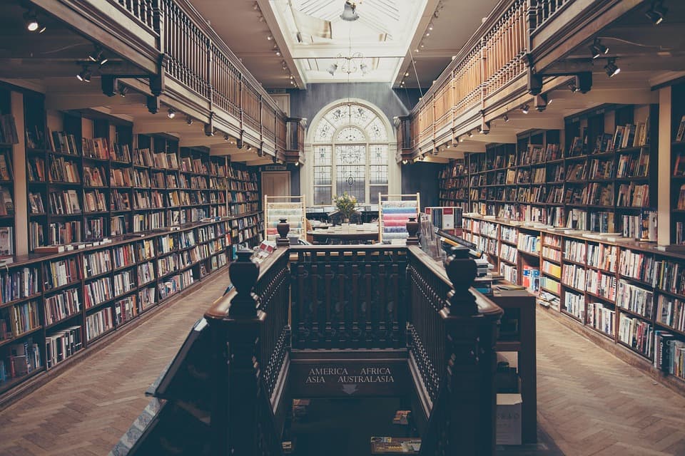 Decoding Data: How Classification Algorithms Are Transforming Machine Learning